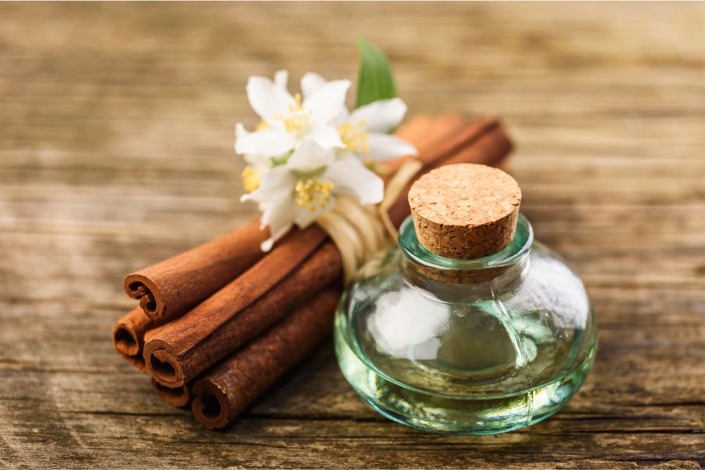 Handmatige oogst van aromatische planten voor de productie van zeldzame etherische oliën