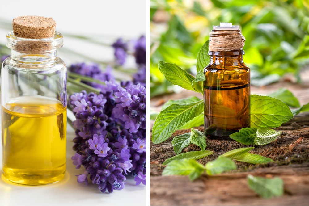 Aroma-diffuser met stoom tussen gedroogde kruiden en etherische oliën