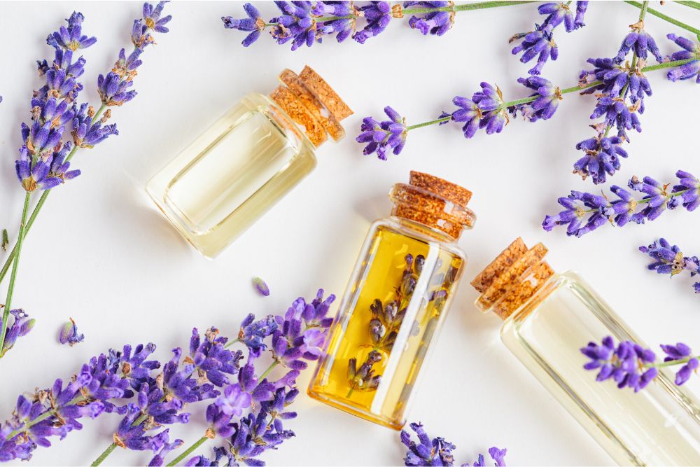 Etherische lavendelolie in een donker flesje met verse lavendel - natuurlijke aromatherapie