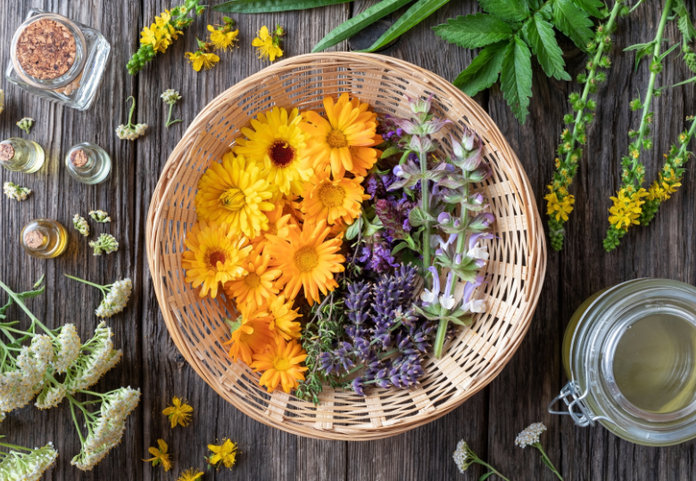 Traditionele Chinese aromatherapie met etherische oliën en kruiden op een houten tafel